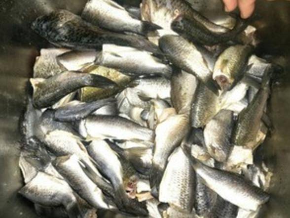 吃什么东西能软化鱼刺 90f9e6375a4c44d1b3c8321c39481f48.jpeg