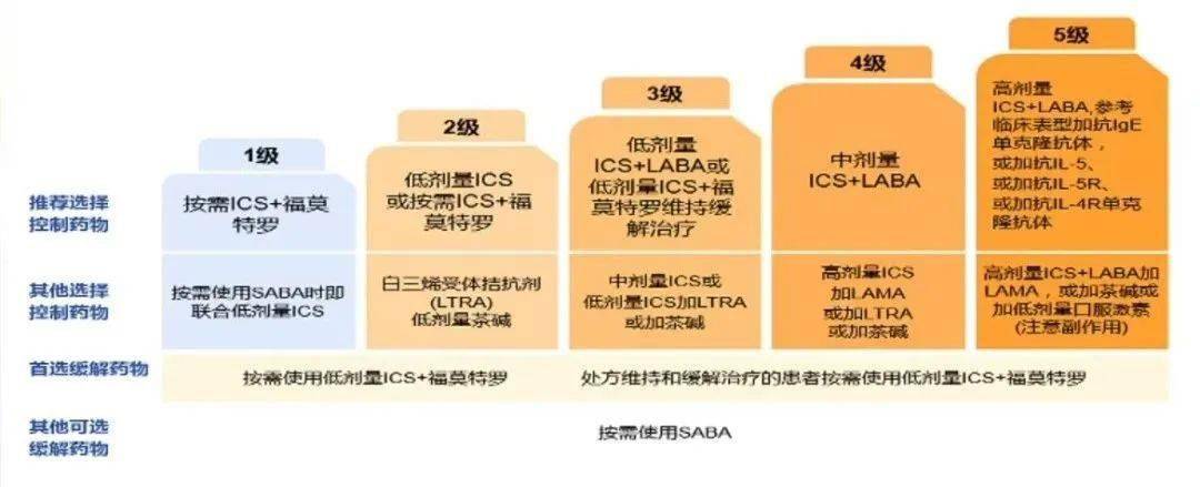 (2)在第 5 级治疗中将生物靶向药物全部写入;(3)甲磺司特颗粒(国产)