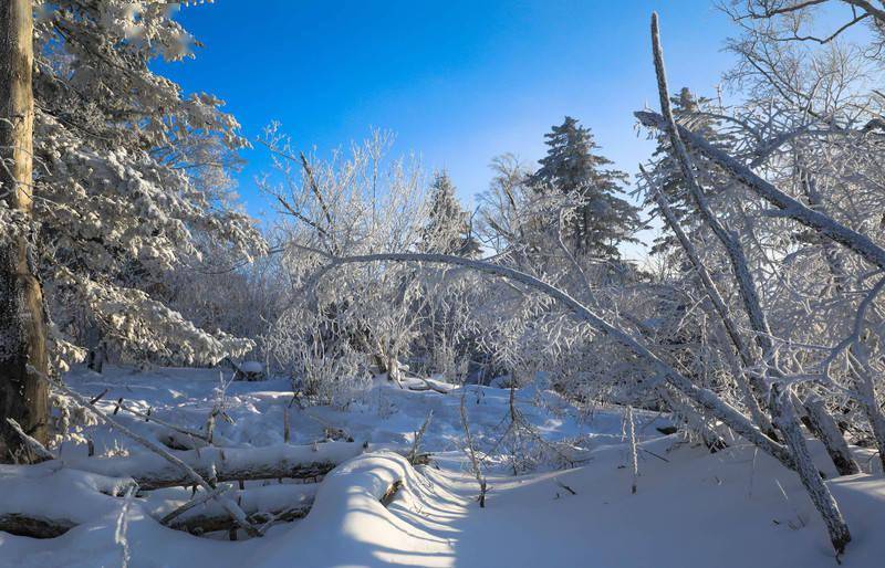 吉林|遇见凇雪吉林，赴一场冬日里的浪漫旅行