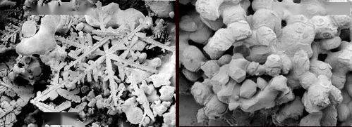 皮层|趣问万物 | 先天失明的人会梦到什么？