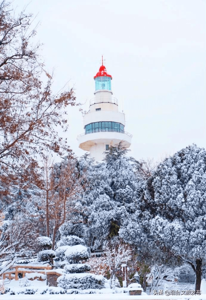 雪花|琼瑶匝地！“雪窝烟台”盛装亮相