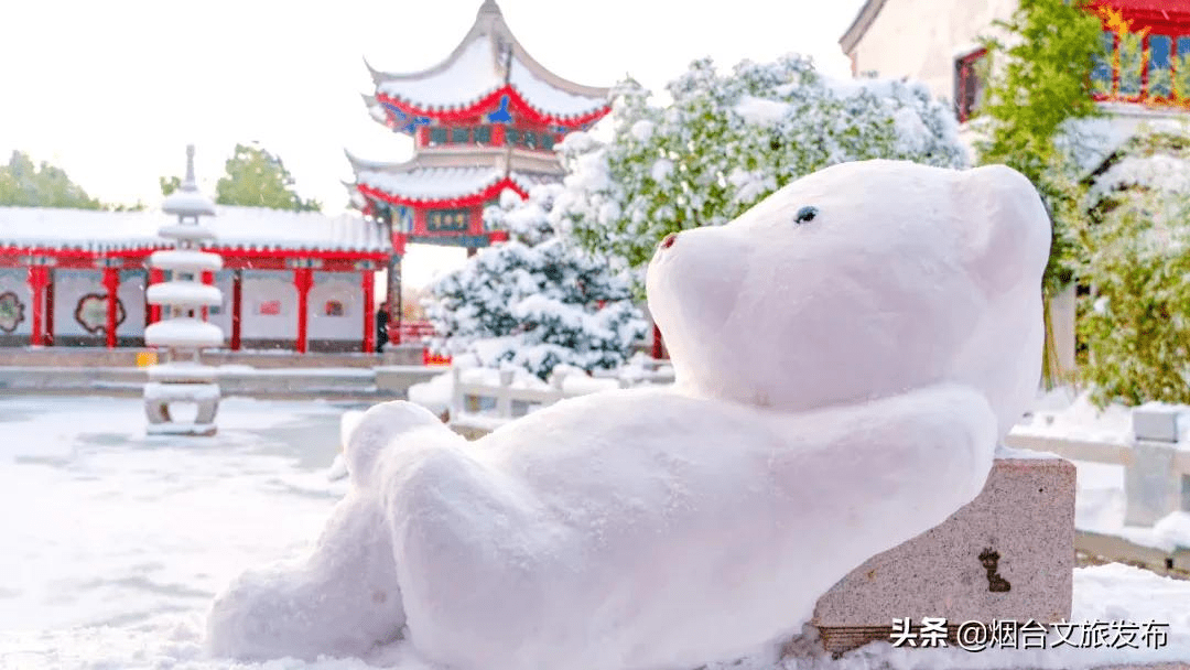 雪花|琼瑶匝地！“雪窝烟台”盛装亮相