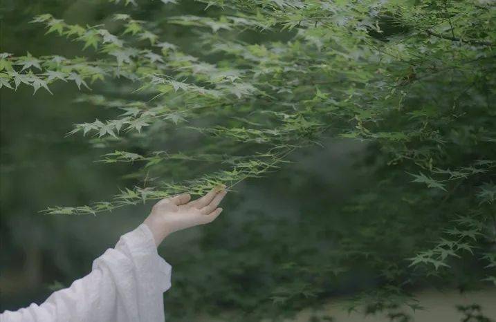 10句中国名言 把人生婚姻 家庭和人性讲透了 译文 亲人 关系