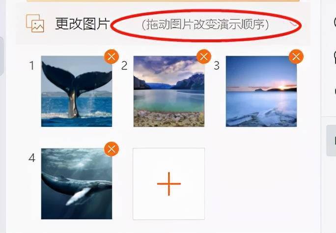 编辑框|一键搞定！PPT最全图形排版攻略