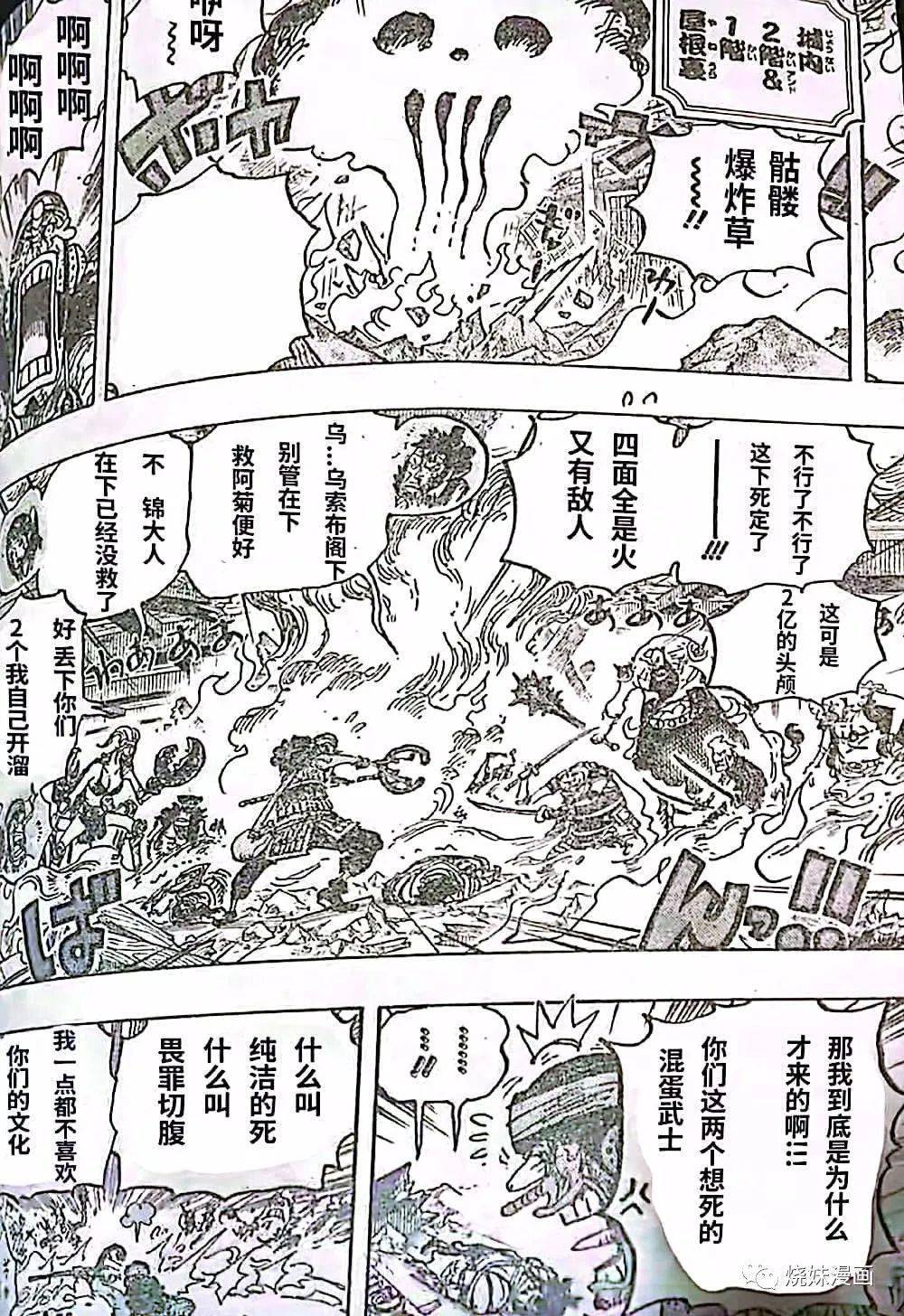 海贼王,海贼王,汉化版|海贼王 1036话 汉化版