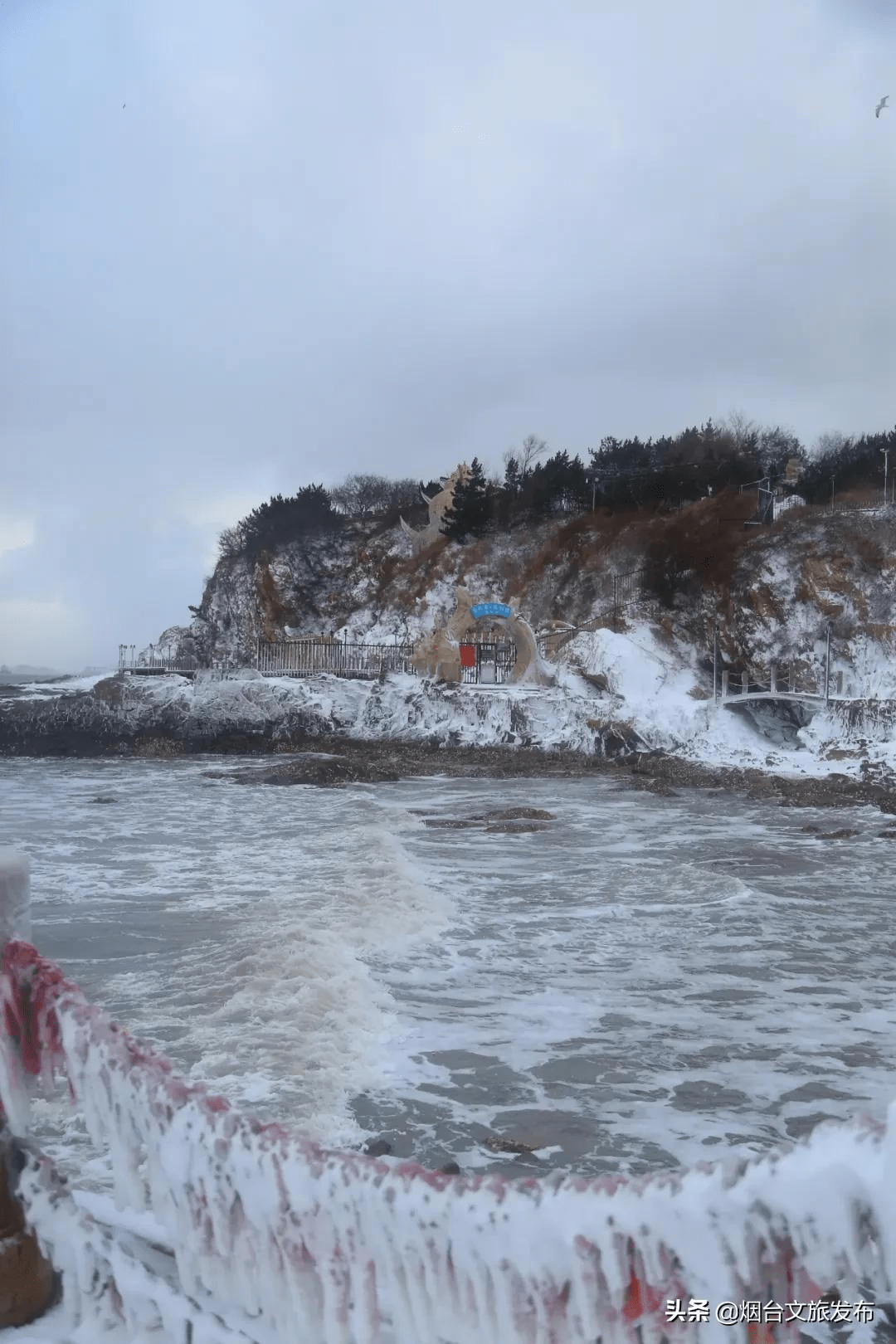 雪花|琼瑶匝地！“雪窝烟台”盛装亮相