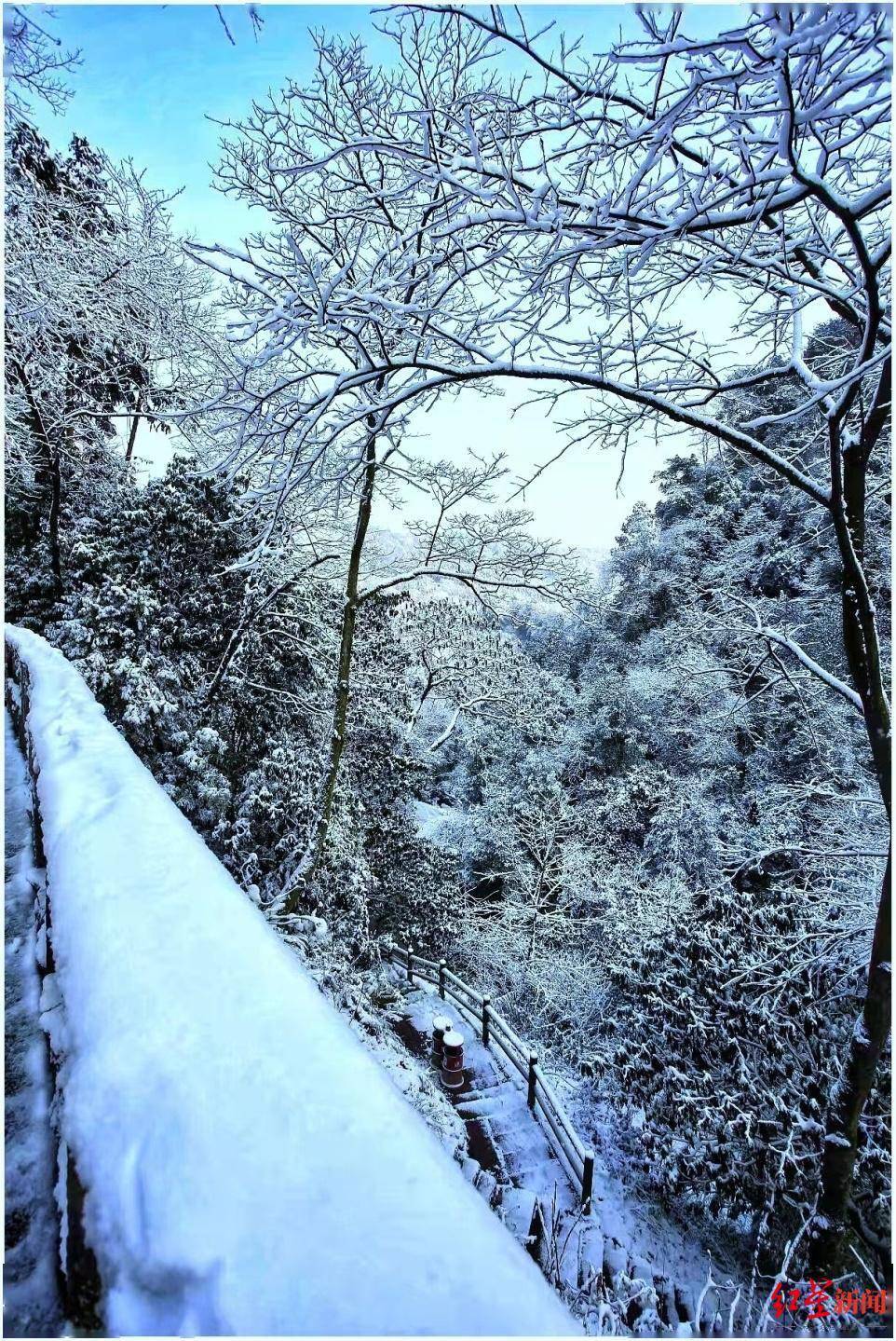 成都|不是头皮雪！成都邛崃天台山迎来入冬第一场雪，一夜进入童话世界