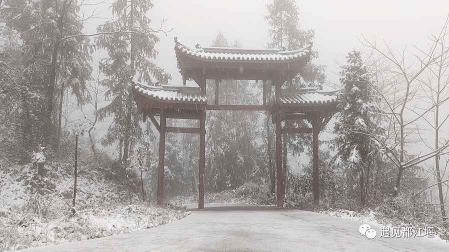 雪景|不负众望！都江堰下雪啦！最美雪景在这里~