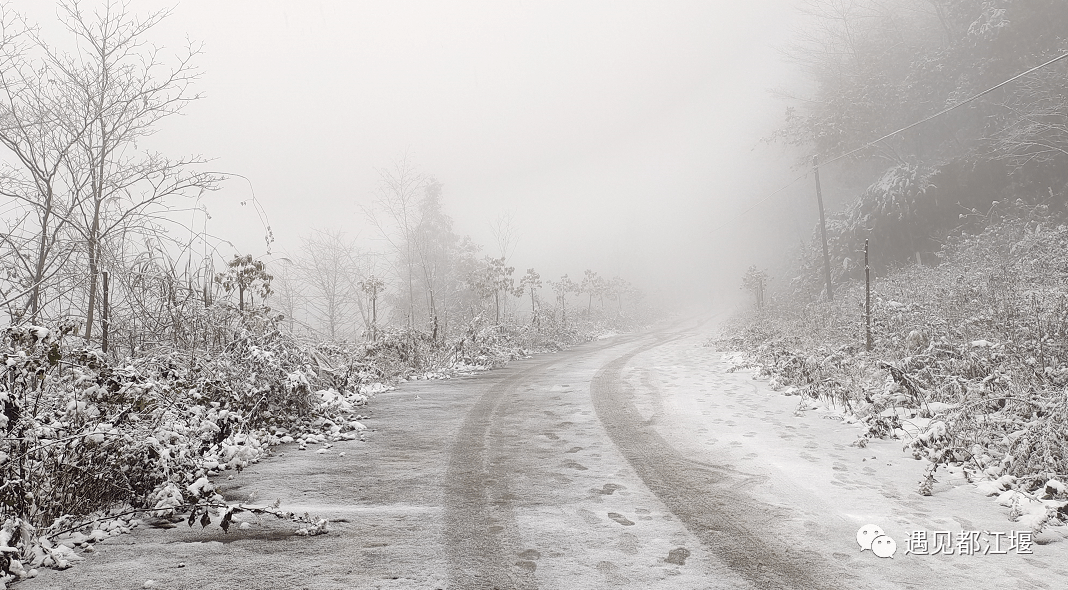 雪景|不负众望！都江堰下雪啦！最美雪景在这里~