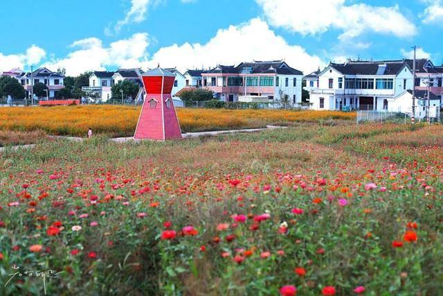 常熟新晋网红地,去过都说不错!_福山镇_景区_农村