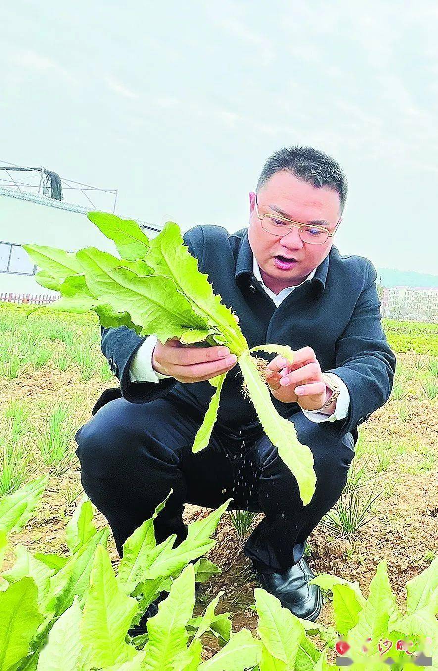 殡葬_建议_杨昕