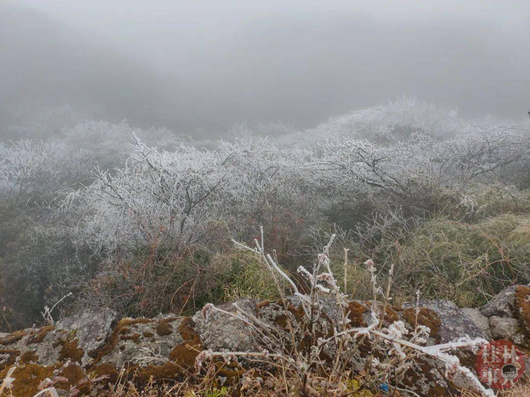 南岭国家森林公园下雪图片