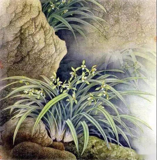 【国画教程】工笔花鸟:兰花画法_叶子时_部分_藤黄