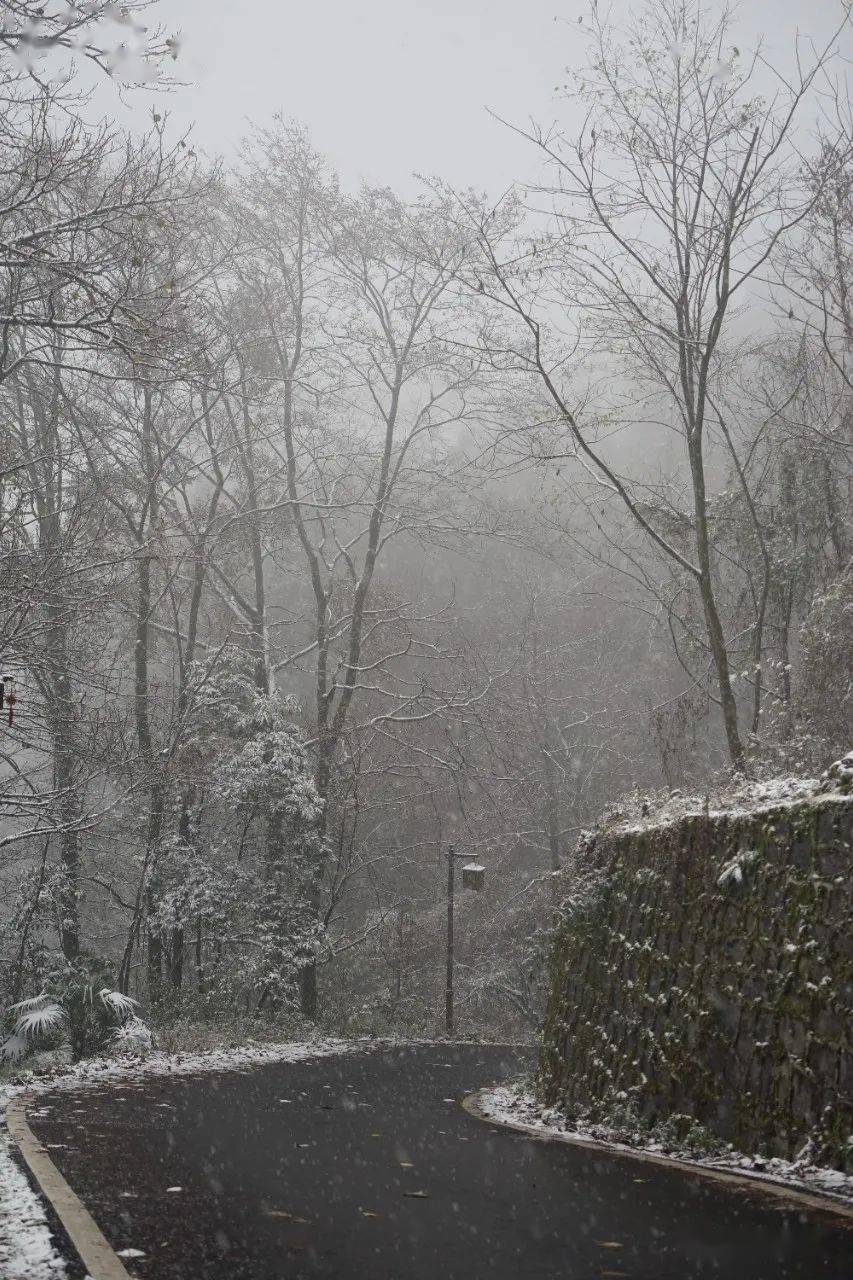 雪景|不负众望！都江堰下雪啦！最美雪景在这里~