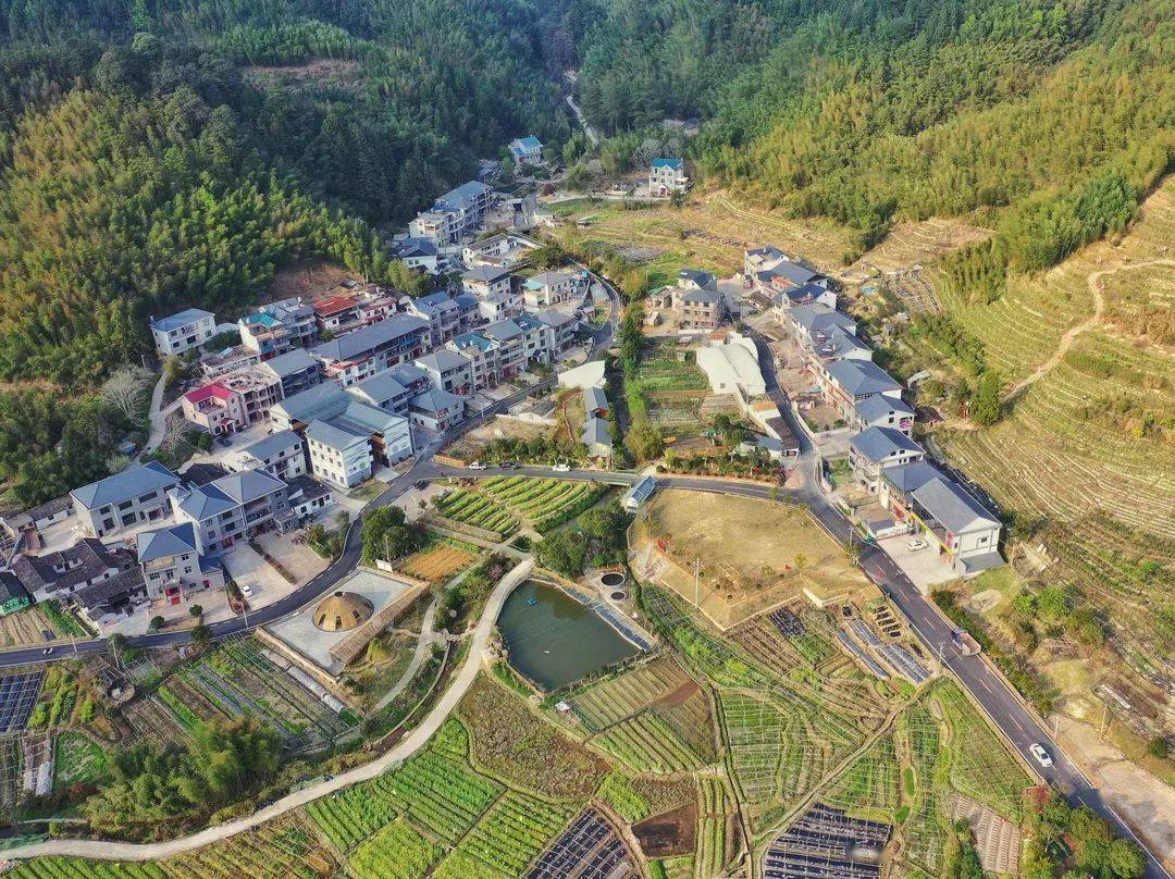 上杭"红古田片区"竹岭村片区打造能否成功,很关键的因素在于乡村基层