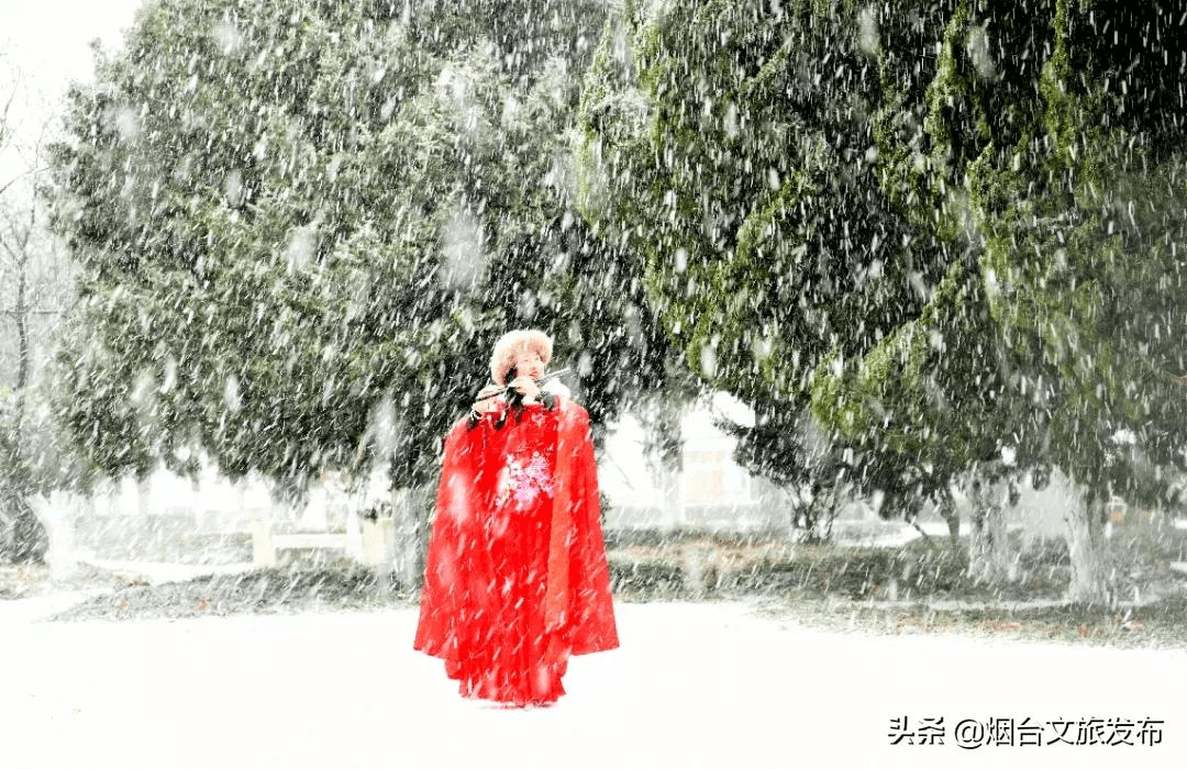 雪花|雪花里的海阳！最美赏雪点位来了！