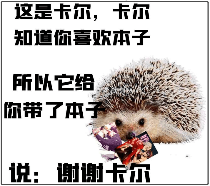 卡尔·马克思_照片_什么