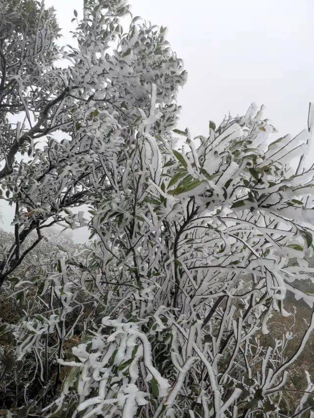 平天山雪景图片