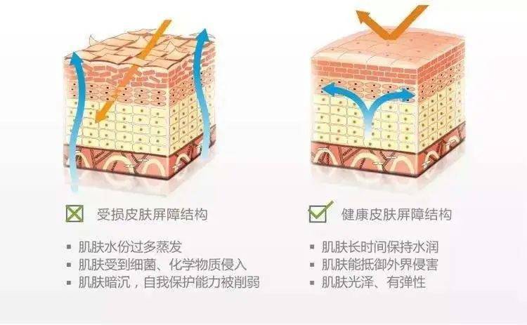 屏障为什么她敷出了从美容院出来的效果？