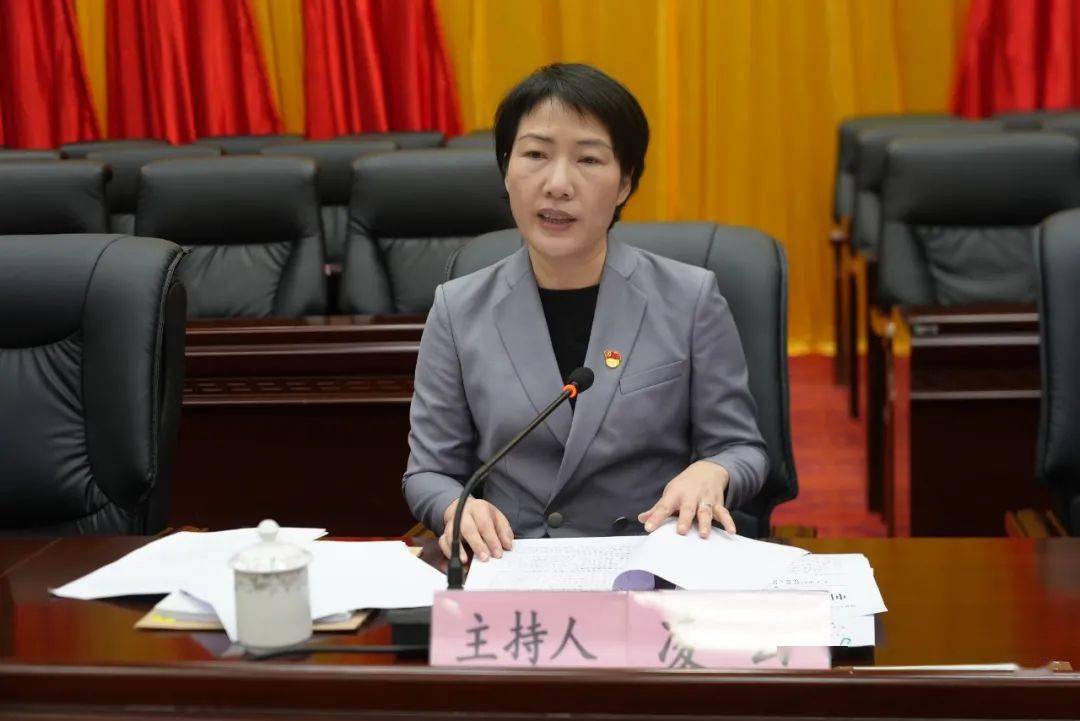 县委书记凌云作总结讲话.