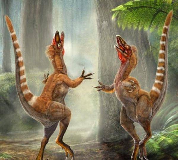 揭秘恐龙化石丨这种恐龙“五彩斑斓的黑”，你见过吗？