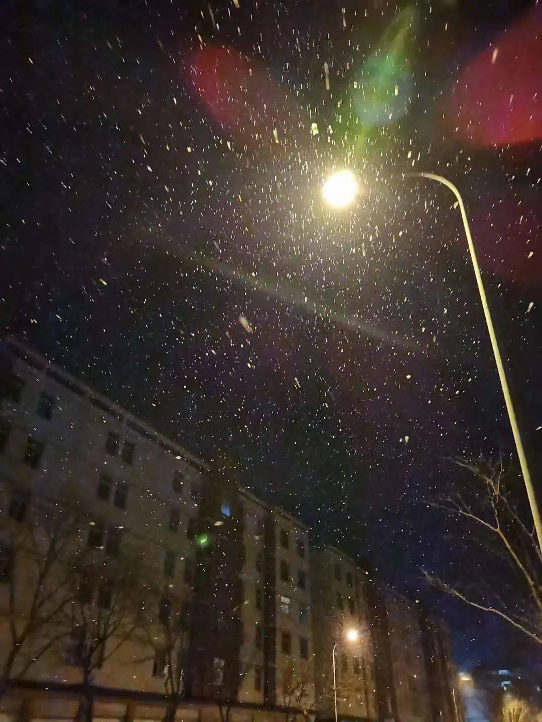 看窗外雪花飘飘图片图片