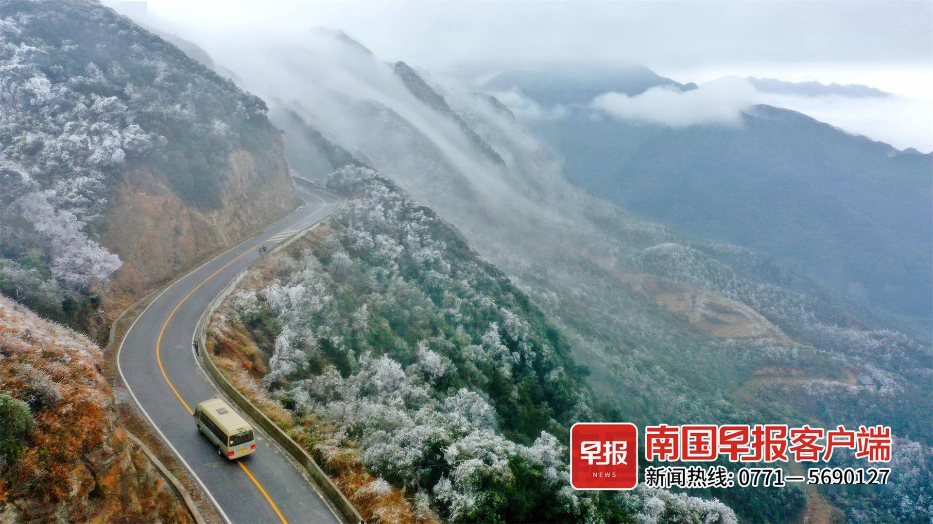 大明山雾凇美图刷屏南宁迎来下半年最冷天气