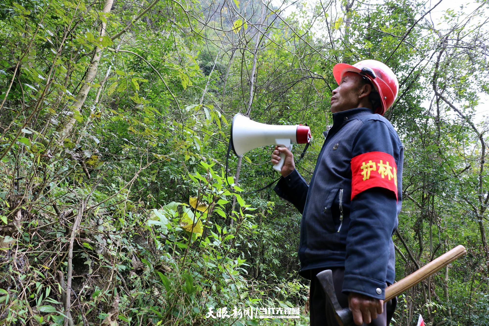 在兴仁市鲁础营回族乡清水河村,护林员张玉贤背上喇叭,手提一把用了近