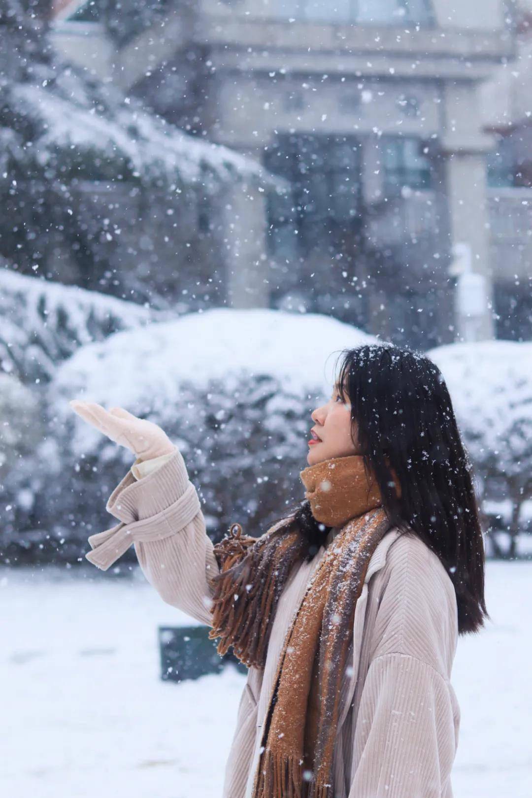 初雪|湖南高校初雪图鉴 第一次这么认真地赏雪