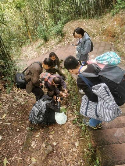 中科院华南植物园在丹霞山开展植物鉴定培训