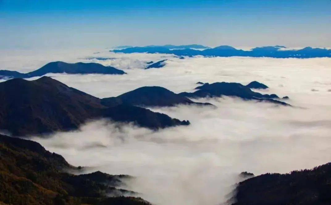 青山如黛雾锁云笼我自云中游