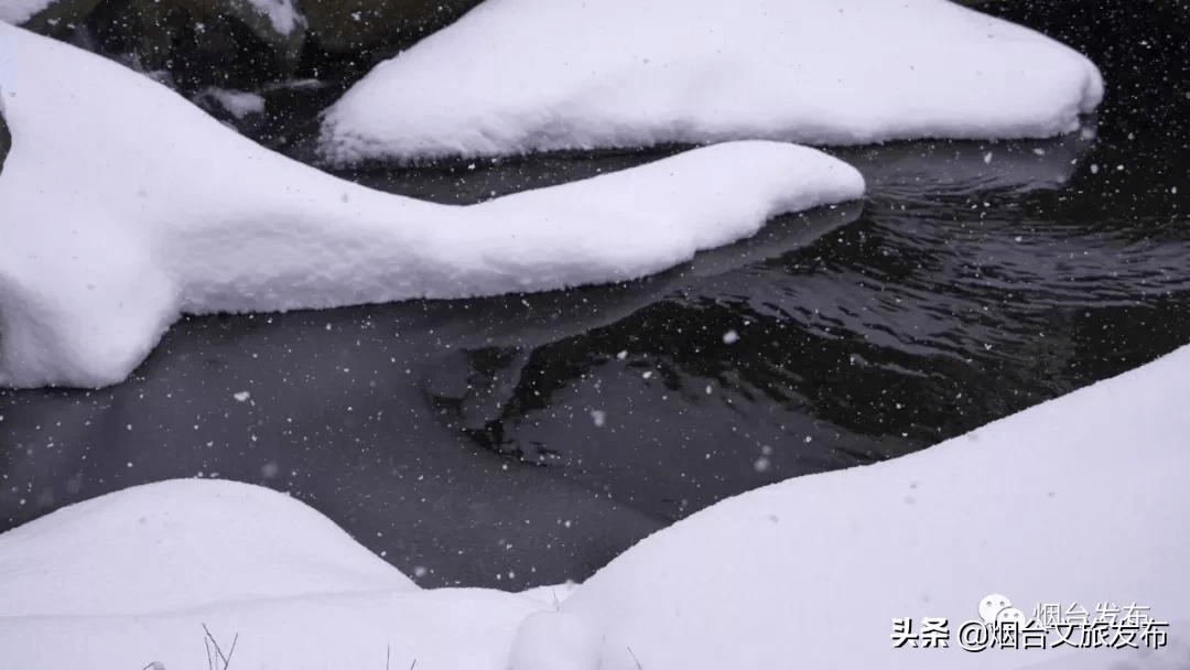 雪花|仙境烟台，风雪中的这三天……