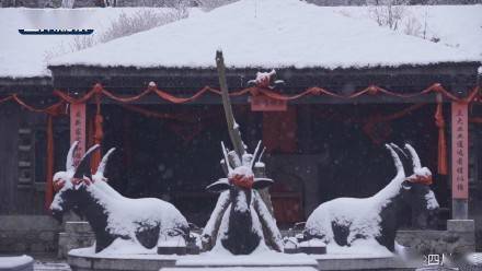 白雪|赏雪时间到！四川多地降雪变晶莹世界