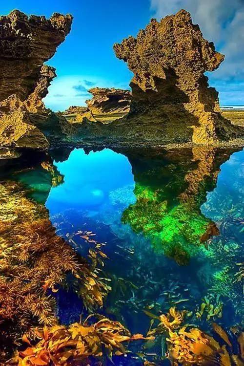 106幅养眼的美图