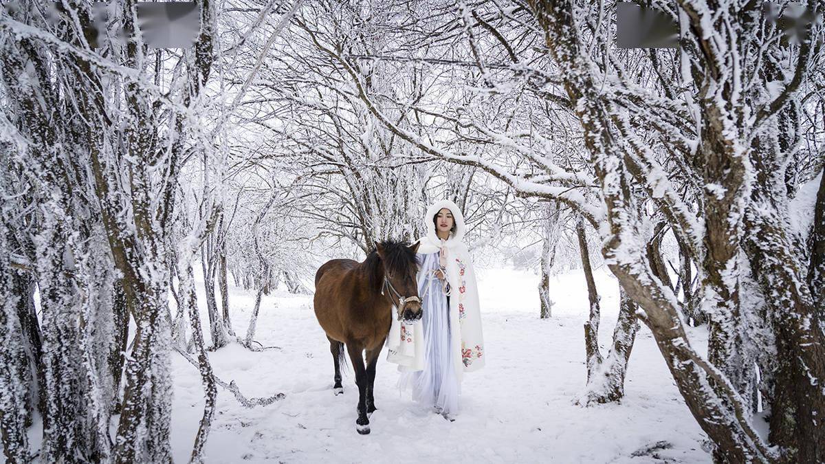 市民|2021第十二届仙女山冰雪季30日启动