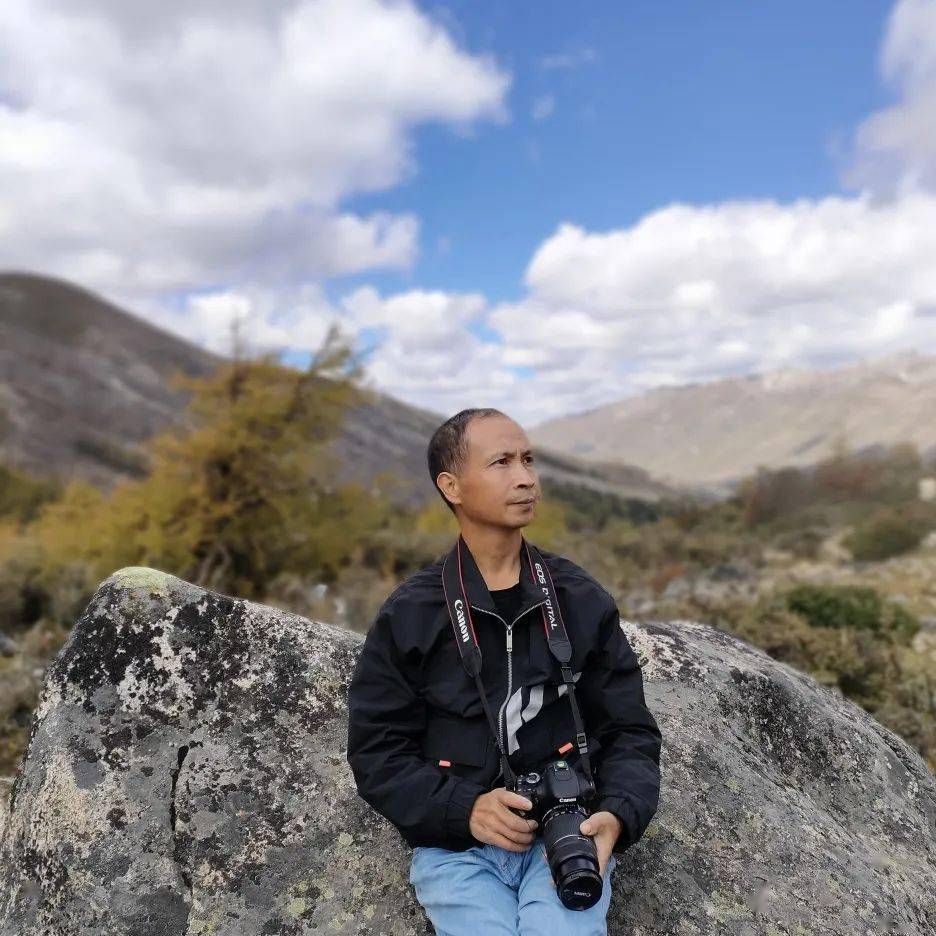 廖志平寅虎贺新春书画名家大拜年