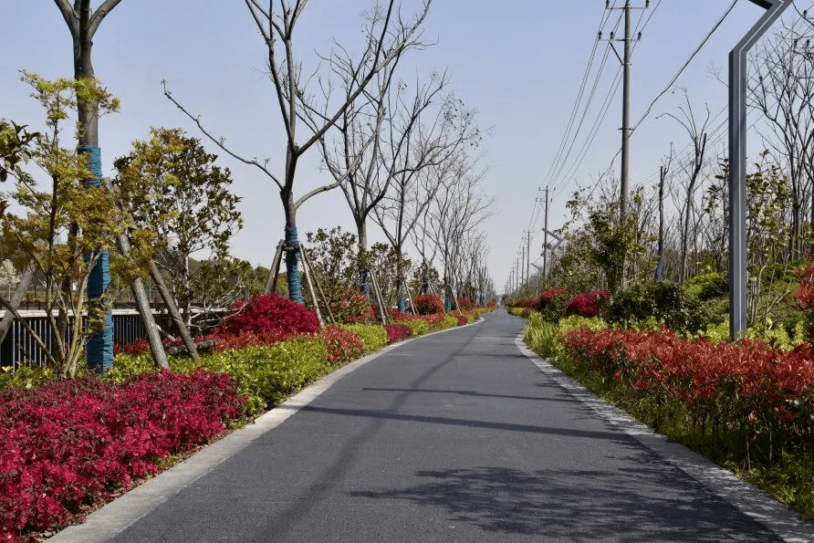 儿童友好│萌童元旦好去处,"一米高度"游松江_永丰街道_佘山镇_社区