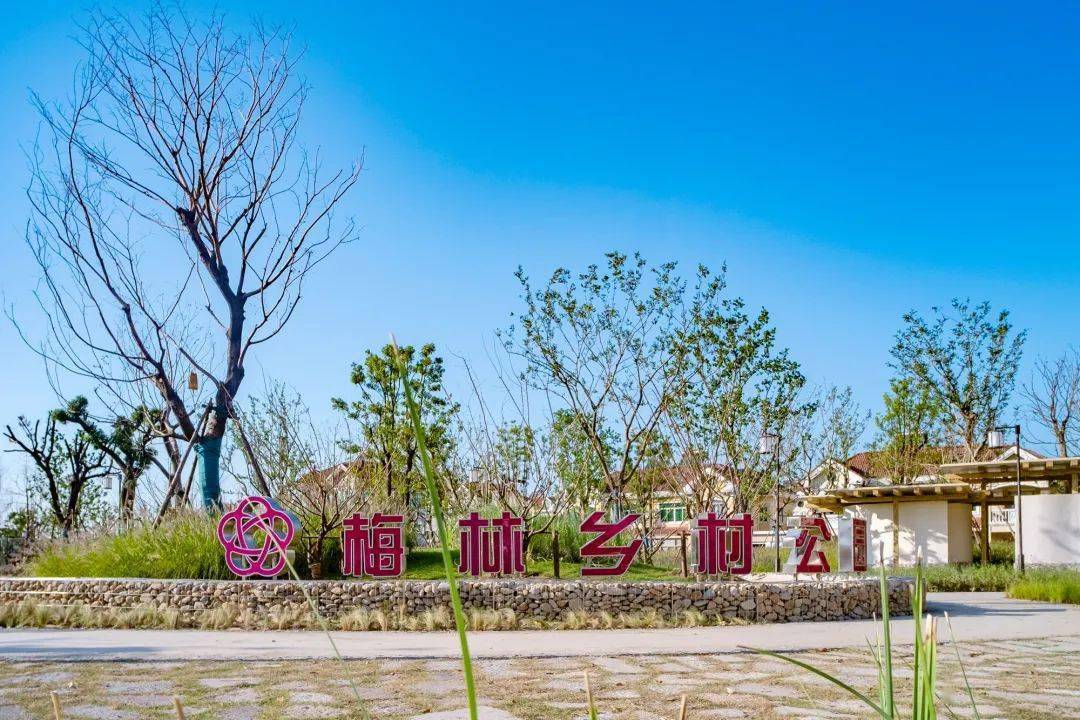 梅林村_乡村_生活