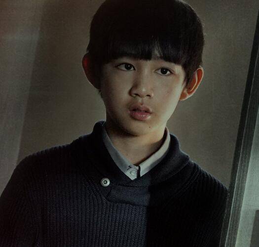 汪楚祺为什么是灰色眼睛(他的身世之谜真相是什么)_汪先生_张晓雪_roy