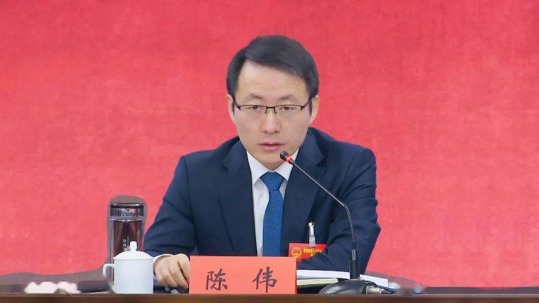 陈伟参加官亭代表团审议