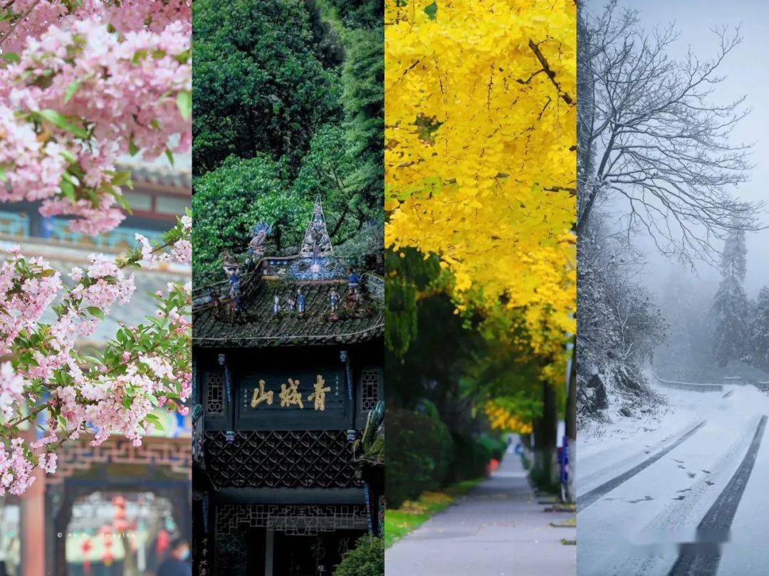 盘点2021 | 四季图鉴，带你览尽都江堰的春夏秋冬~