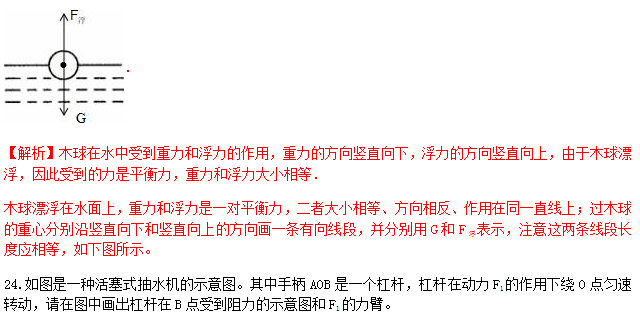 识别|中考物理做图类问题知识点、例题解析及对点练习（含答案）