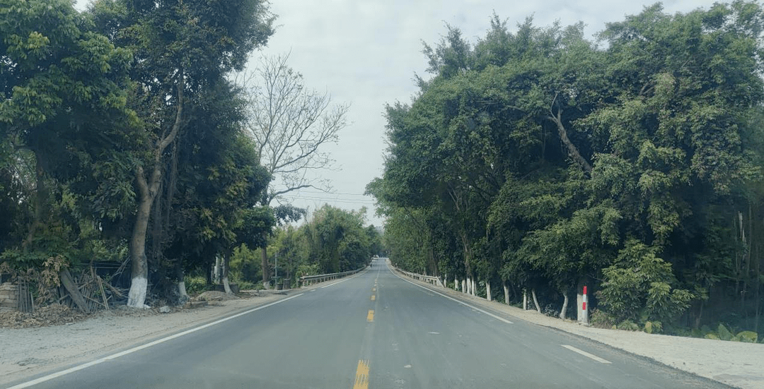 博白:12月27日,省道s209线k134 000—k136 000路段(博白县凤山镇至立