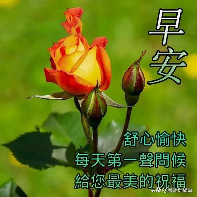 12月26日清晨早上好问候动态图片周末吉祥美好的心情从早上开始 生活 人生 朋友