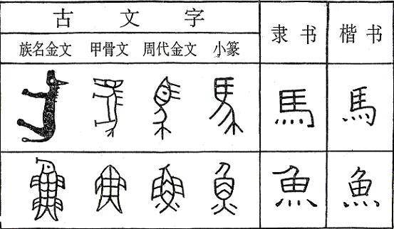 汉字的起源与演变 文字 甲骨文 金文