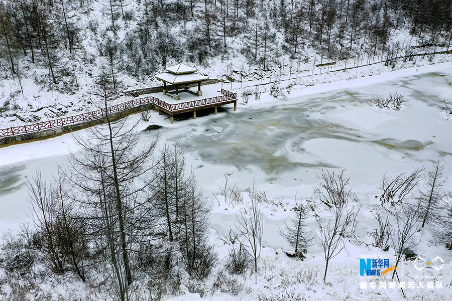 寒潮|重庆巫溪：冰雪奇缘秘境红池 这里的雪过分美丽