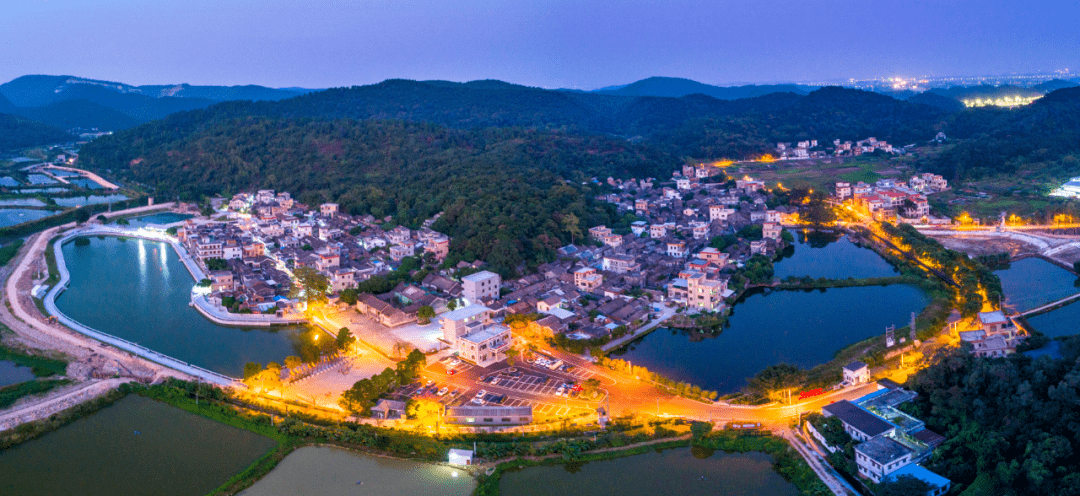 奋进新征程棠下镇为全力推动蓬江高质量发展作出棠下贡献