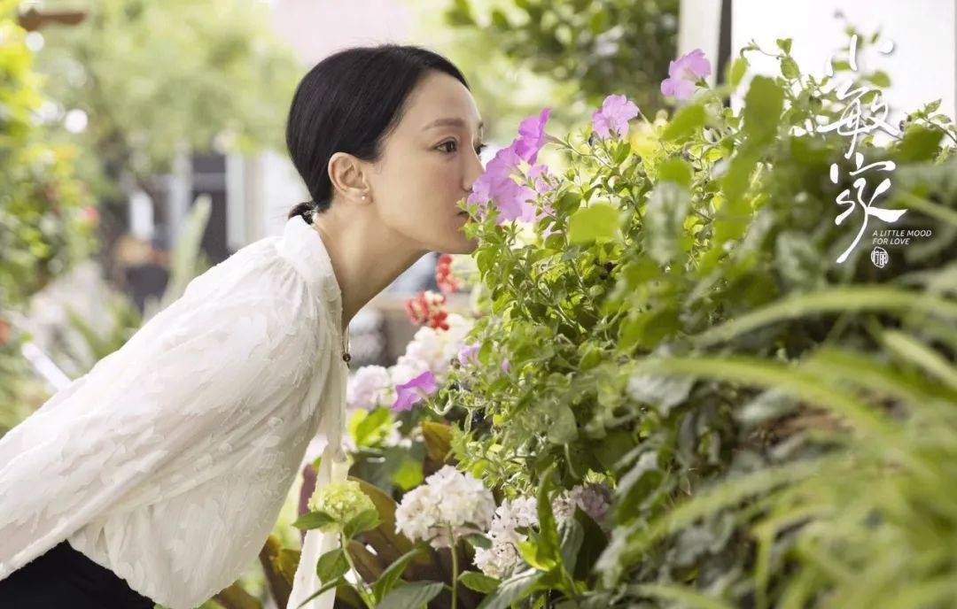 中年人|打开小敏家的衣橱，里头全是“断货王”