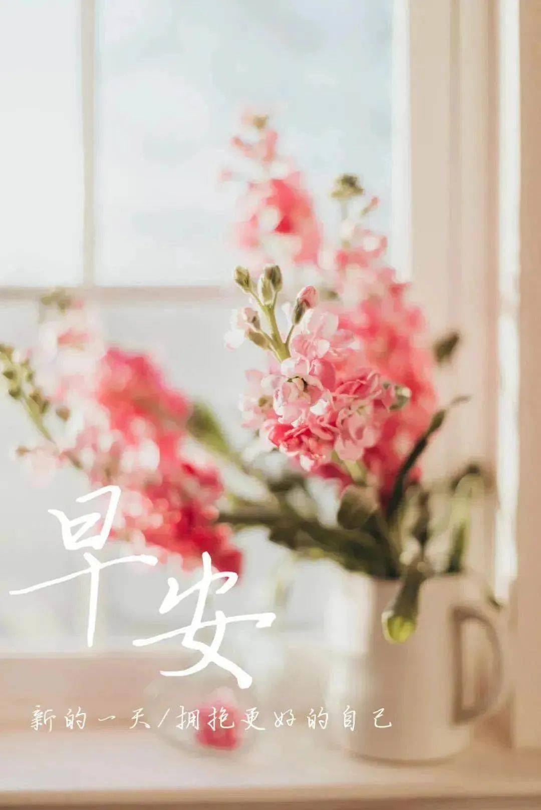 简单的生活平和的心态 50d38c6c77bd489fa0142dda044a7fd1.jpeg