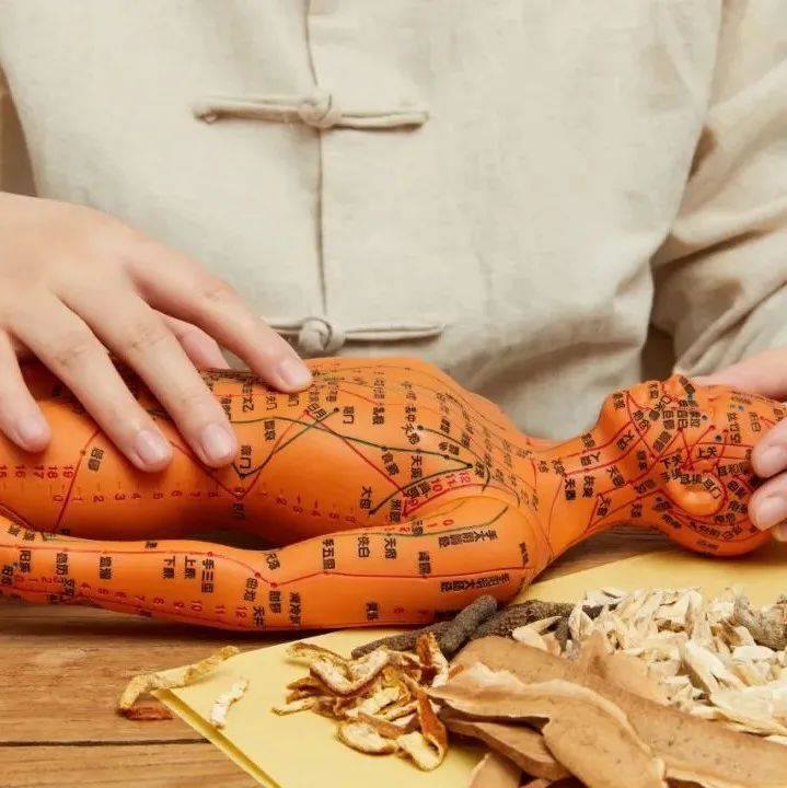 任督二脉一点都不神秘,中医给你科学解释!_任脉_正中_主干